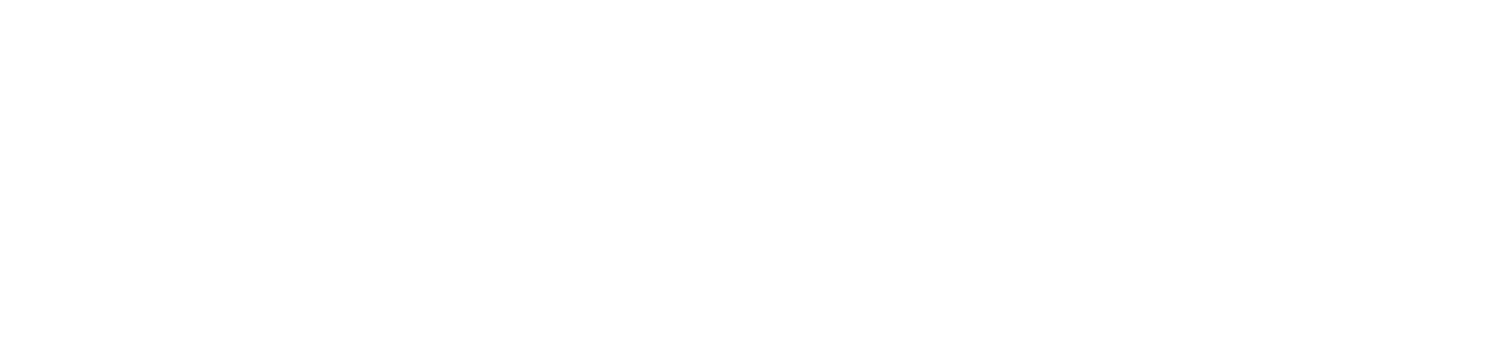 Logo Footer